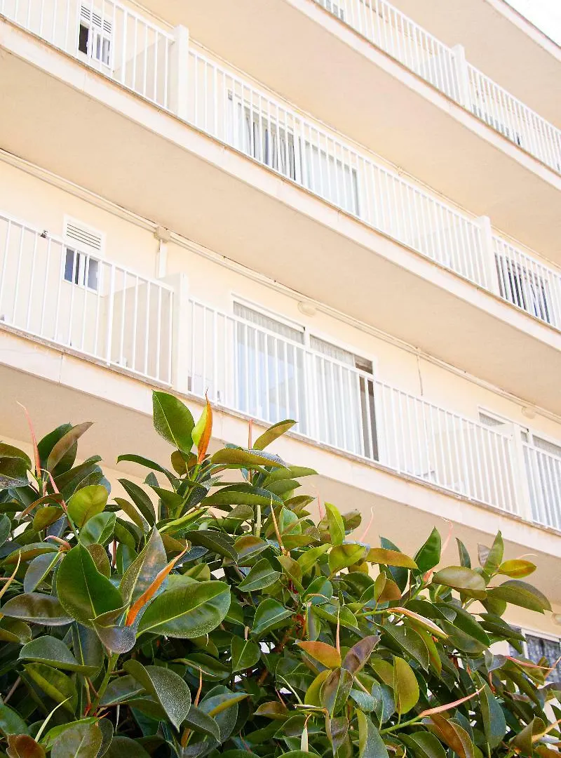 **  Hotel Selva Arenal El Arenal  Španělsko